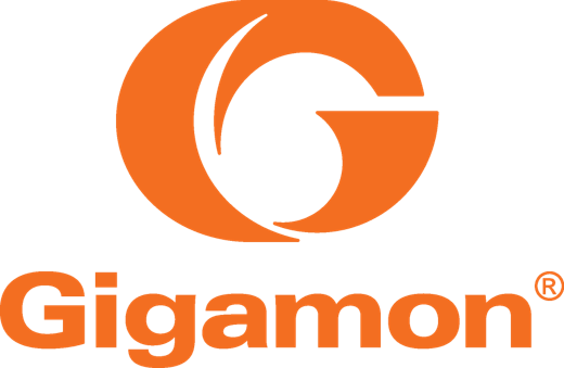 Gigamon